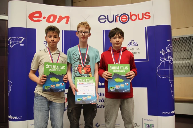 Pravidlo divoké karty